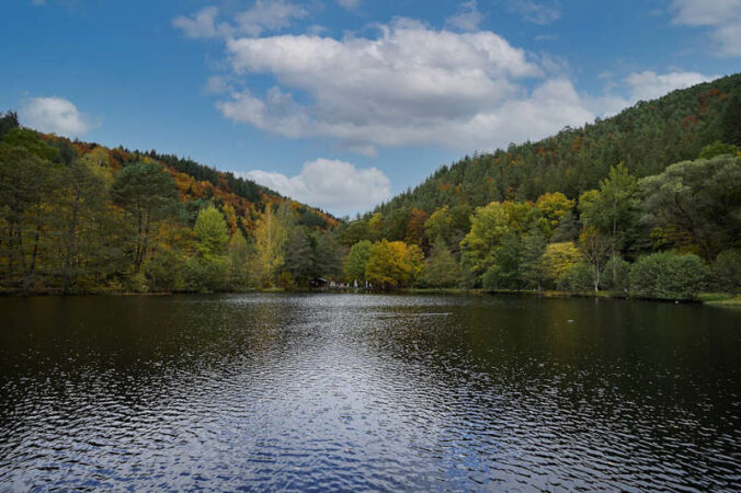 Helmbachweiher (Foto: Holger Knecht)