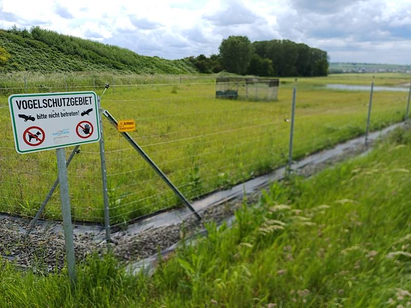 Eines der Auswilderungsgelände für Jungkiebitze (Quelle: Zoo Landau/GNOR)