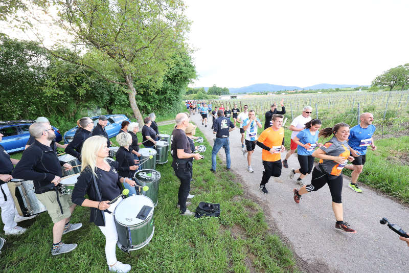 dm Firmenlauf Südpfalz (Foto: Markus Lutz)