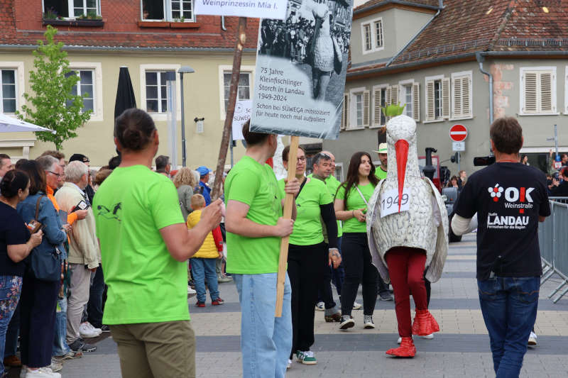 ie Gemeinde Kleinfischlingen polierte das Storchenkostüm wieder auf, dass schon bei der SÜWEGA 1949 zum Einsatz gekommen war. (Quelle: Stadt Landau)