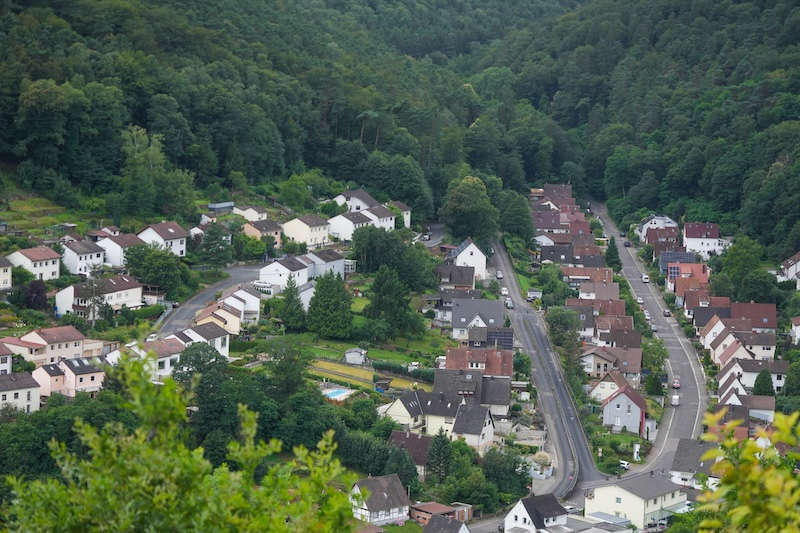 Burgruine Wolfsburg in Neustadt an der Weinstraße (Foto: Holger Knecht)