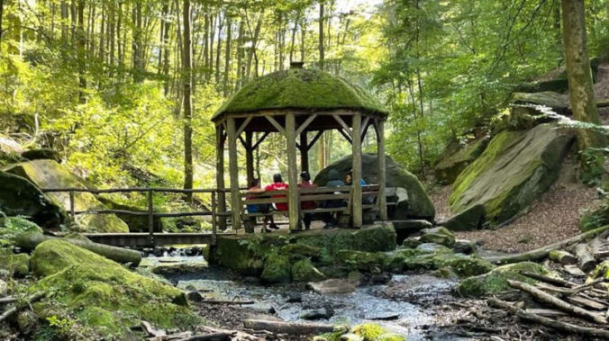 Karlstalschlucht (Foto: Irene Busch)