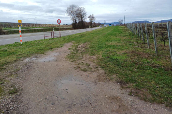 Rund um Wollmesheim werden in den kommenden Wochen zwei Wegestücke ausgebaut. Nutzen soll das beiden: Landwirtschaft und Radverkehr. (Quelle: Stadt Landau)