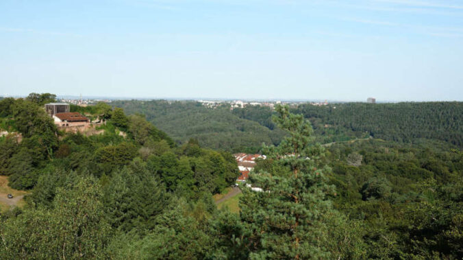 Bei der Tour mit Anne & Patrik Zäuner von „Natürlich Waldbaden“ steht das Thema „Achtsamkeit in der Natur“ im Mittelpunkt (Foto: privat)