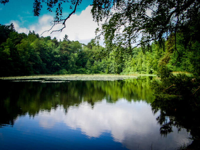 Am Retzbergweiher