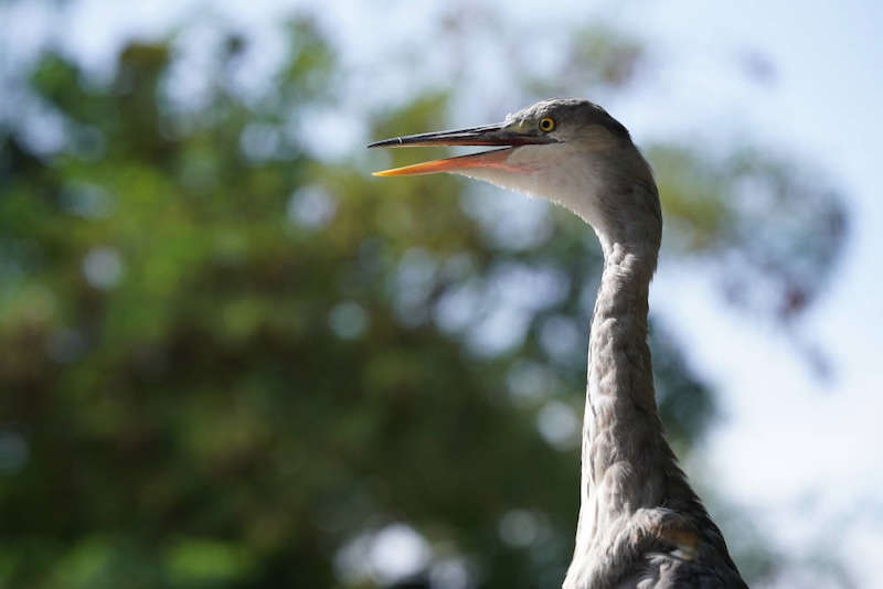 Zoo Landau in der Pfalz (Foto: Holger Knecht)