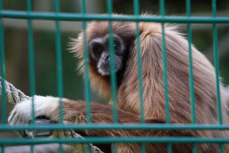 Zoo Landau in der Pfalz (Foto: Holger Knecht)