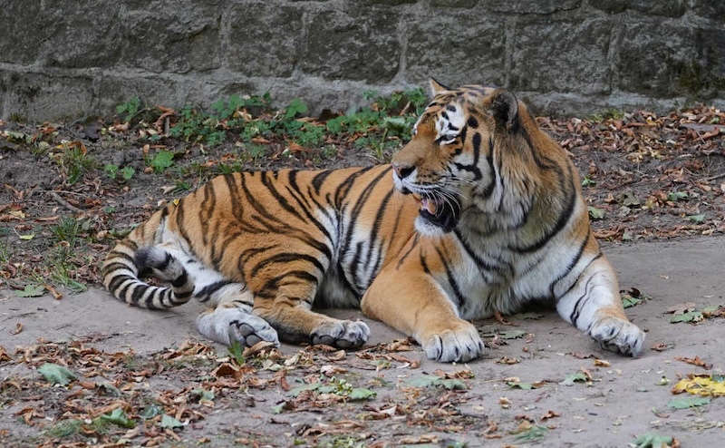 Zoo Landau in der Pfalz (Foto: Holger Knecht)