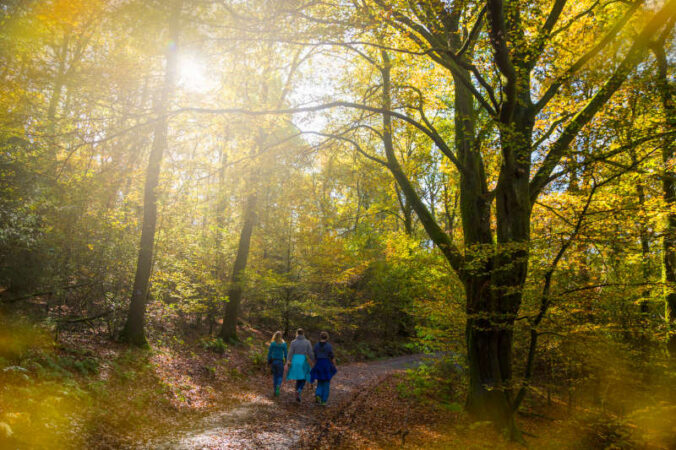 Wanderer im Herbstwald (Landesforsten.RLP.de / J.Fieber)