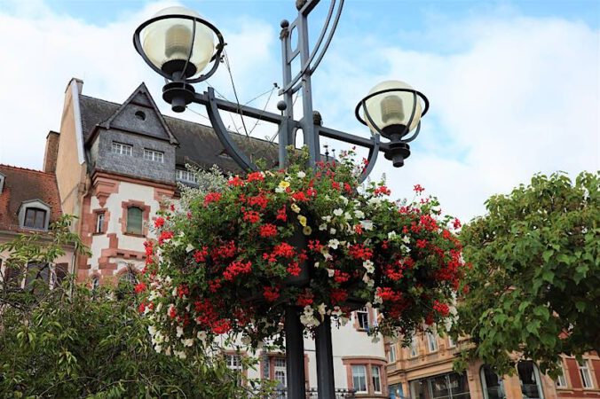 Blumenampeln – und Blumensäulen – sorgen für gute Jubiläumsstimmung in Landau. (Quelle: Stadt Landau)