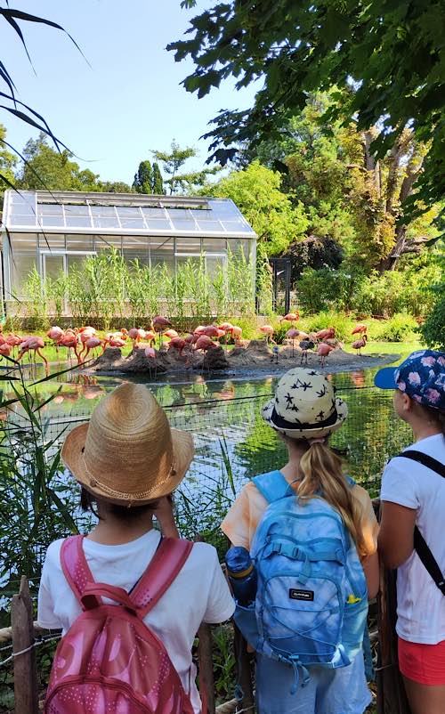 In der fünften Ferienwoche ging es in den Heidelberger Zoo. (Foto: Stadt Kaiserslautern)