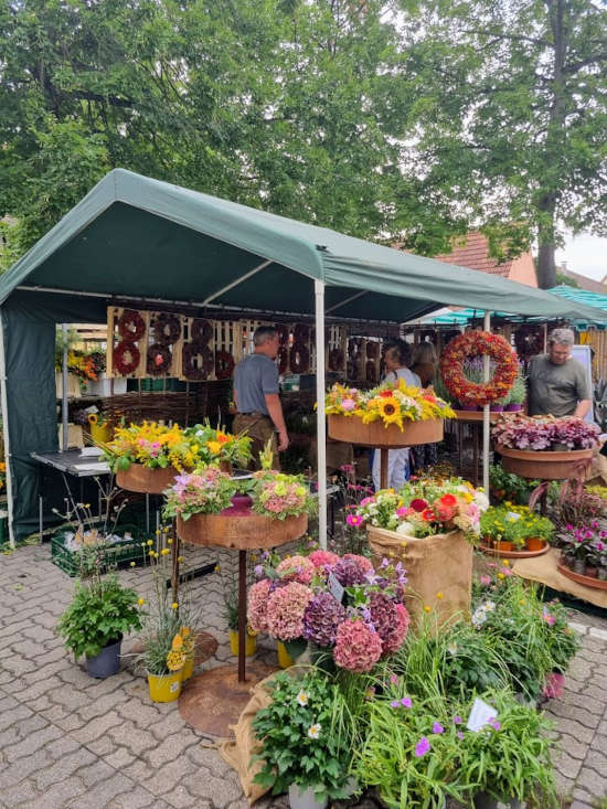 Kunsthandwerkermarkt (Foto: Stadtverwaltung Schifferstadt)