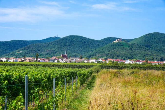 Maikammer, das Hambacher Schloss und die Kalmit (Foto: Holger Knecht)