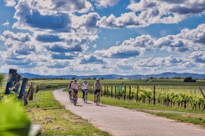 Fahrradtour (Foto: Südpfalz-Tourismus e.V., Fotografie Britta Hoff)