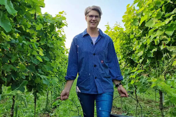 Winzerin Simone Gutting vom Weingut Mohr-Gutting bei der Lese der ersten Trauben des Jahres für den Federweißen. (Foto: DWI)