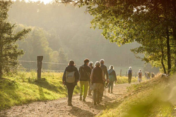 Mit den Touren der Biosphären-Guides den Pfälzerwald in seinen vielfältigen Facetten entdecken. (Foto: AD LUMINA Ralf Ziegler)