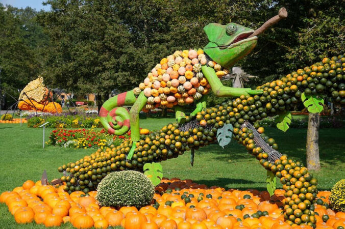 Kürbisausstellung auf der Gartenschau Kaiserslautern (Foto: Holger Knecht)