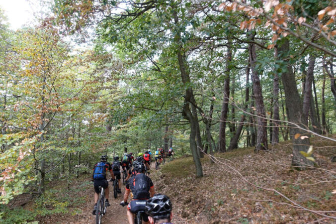 E-MTB-Tour "Die Anspruchsvolle" (Foto: Donnersberg-Touristik-Verband)