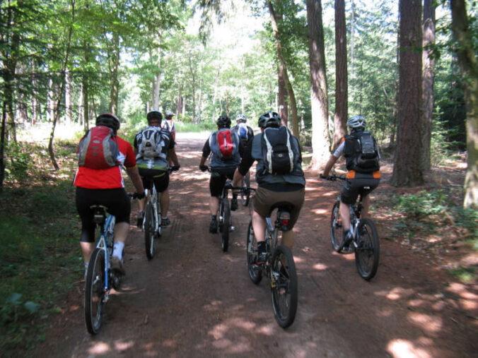 Foto: Donnersberg-Touristik-Verband