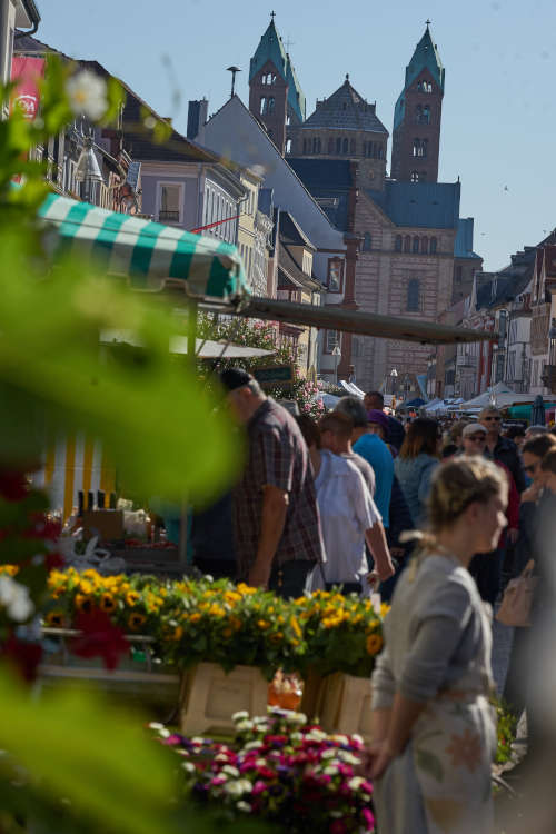 Foto: Bauernmarkt Speyer