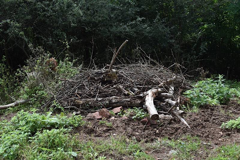 Die errichteten Habitatkomplexe bestehen aus aufgeschichteten Steinen, Totholz und Reisig. (Foto: Stadt Kaiserslautern)