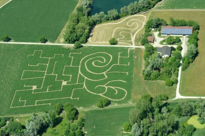 Maislabyrinth Leimersheim (Foto: Südpfalz-Tourismus Verbandsgemeinde Rülzheim)