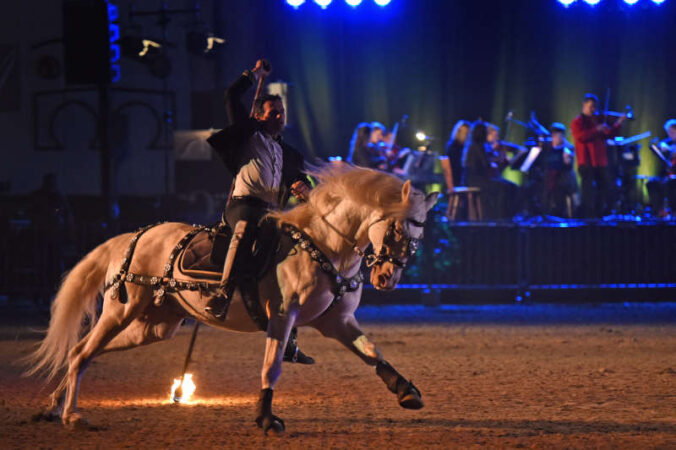 Pferde-Klassik-Gala Zweibrücken (Foto: Sabine Hafner)