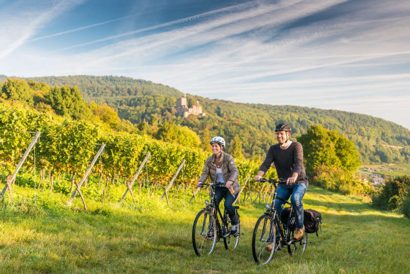 Radfahren in den Weinbergen (Foto: Dominik Ketz, RPT GmbH)