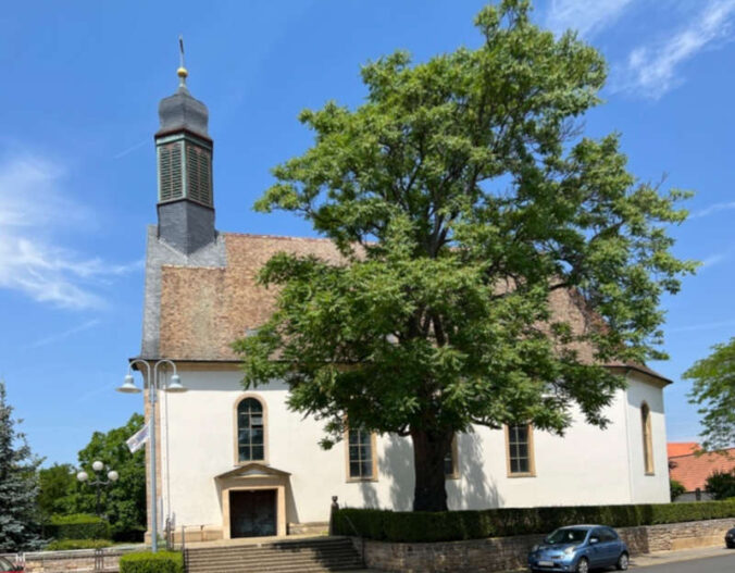 Protestantische Kirche in Meckenheim (Foto: Norbert Benz)