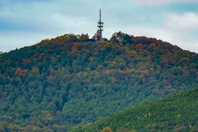 Blick auf die Kalmit (Foto: Holger Knecht)