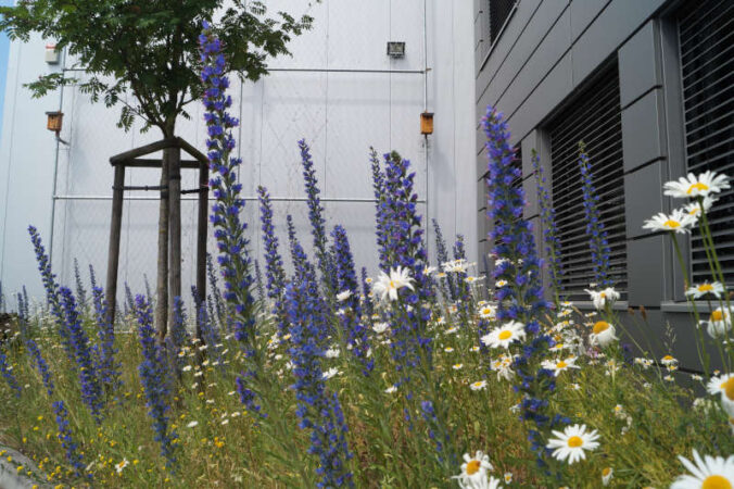 Naturnah gestaltetes Firmengelände (Foto: Umweltzentrum Hannover e.V.)