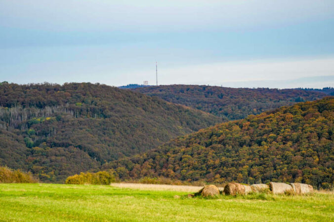 Blick auf den Donnersberg (Foto: Holger Knecht)