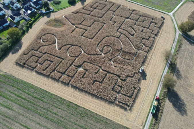 Leimersheimer Maislabyrinth (Foto: Familie Schardt)