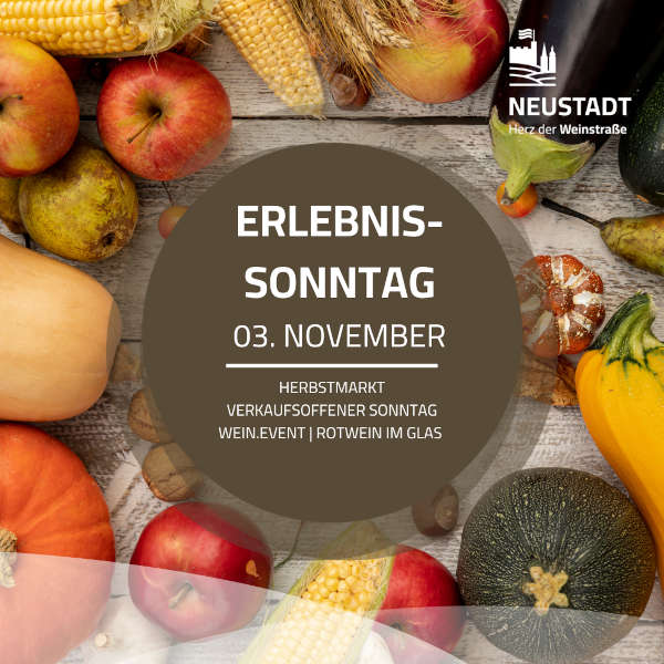 Erlebnis-Sonntag am 03. November 2024 in Neustadt an der Weinstraße