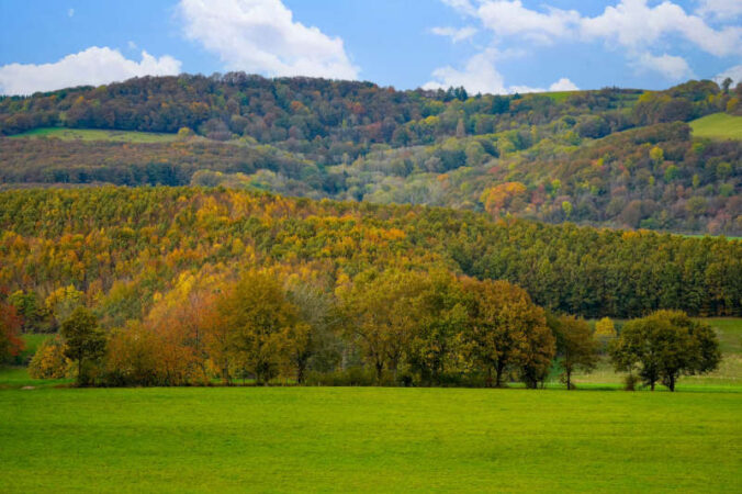 Herbst im Donnersbergkreis (Foto: Holger Knecht)