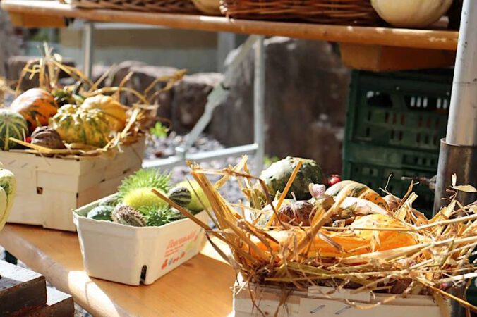 Kürbisdeko beim Marmeladenmarkt (Landesforsten.RLP.de / H.Naumer)