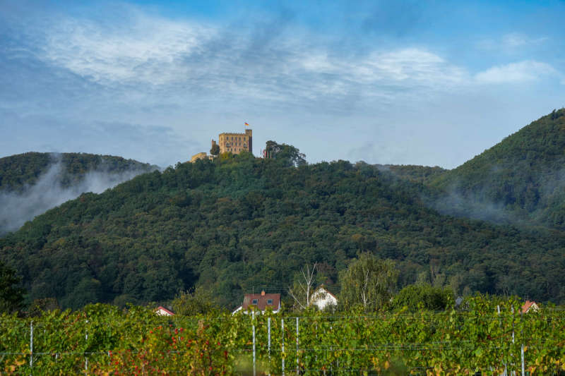 Hambacher Schloss (Foto: Holger Knecht)