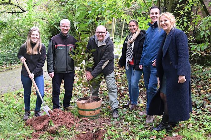 Esskastanienpflanzung in Annweiler am Trifels (Foto: Axel Brachat)