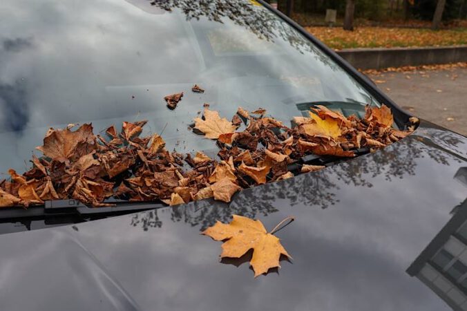 Laub auf Auto (Quelle: ADAC Südbayern)