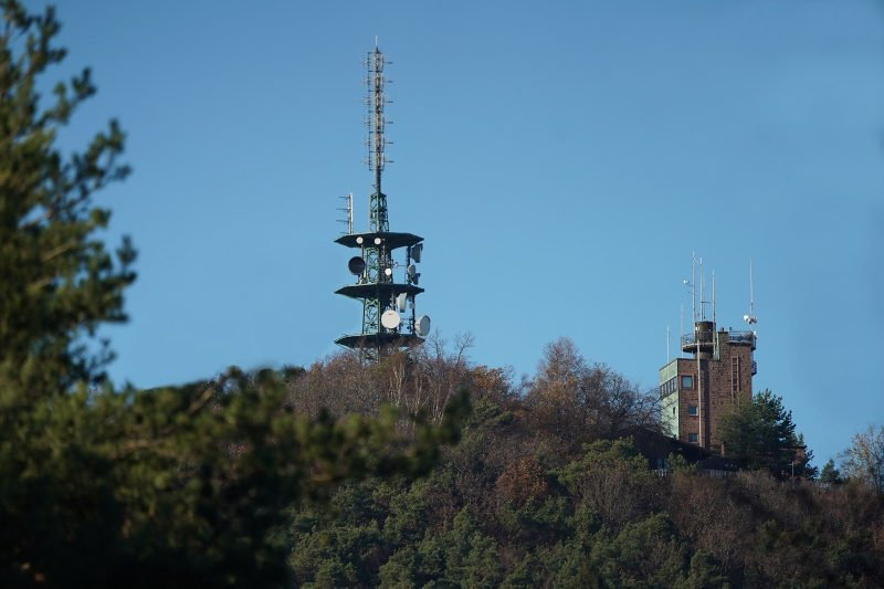 Der Kalmitgipfel (Foto: Holger Knecht)