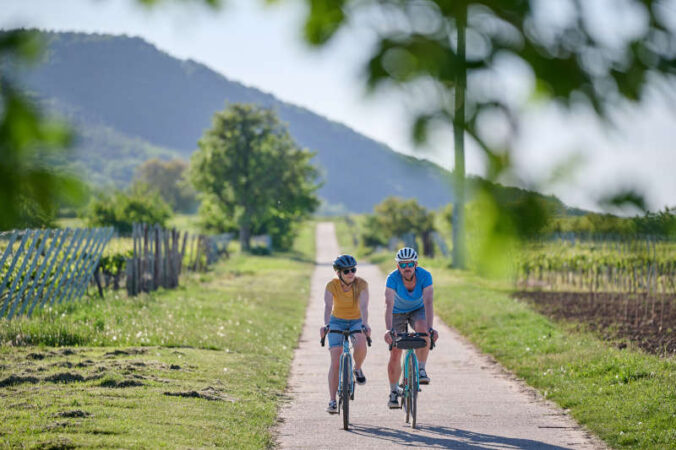 Radfahren Weinberge (Foto: Christian Ernst, Bildarchiv Südliche Weinstrasse e.V.)