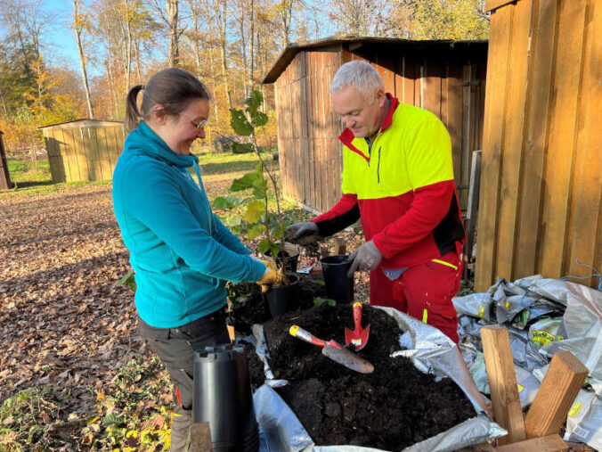 Die Mitarbeiter Bernhard und Melissa topfen Sträucher (Foto: Landesforsten.RLP.de / P.Hochscheidt)