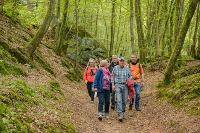 Bei Wandergruppen ist der Pfälzerwald sehr beliebt. (Foto: Biosphärenreservat Pfälzerwald-Nordvogesen/Ralf Ziegler)