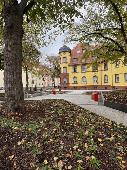 Der neu gestaltete Medicus-Platz (Foto: Stadt Kaiserslautern)