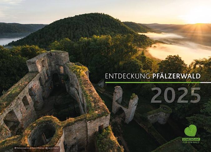 Titelbild des neuen Kalenders "Entdeckung Pfälzerwald 2025" (Foto: Jasmin Steiner)