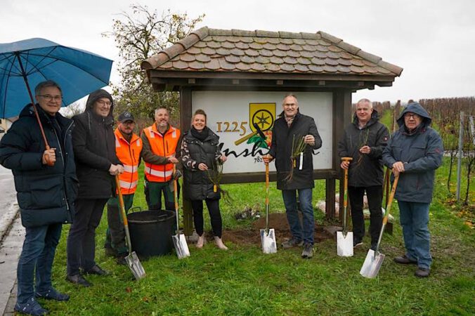 Abschluss der Rosenaktion 2024 in Insheim (Foto: KV SÜW)