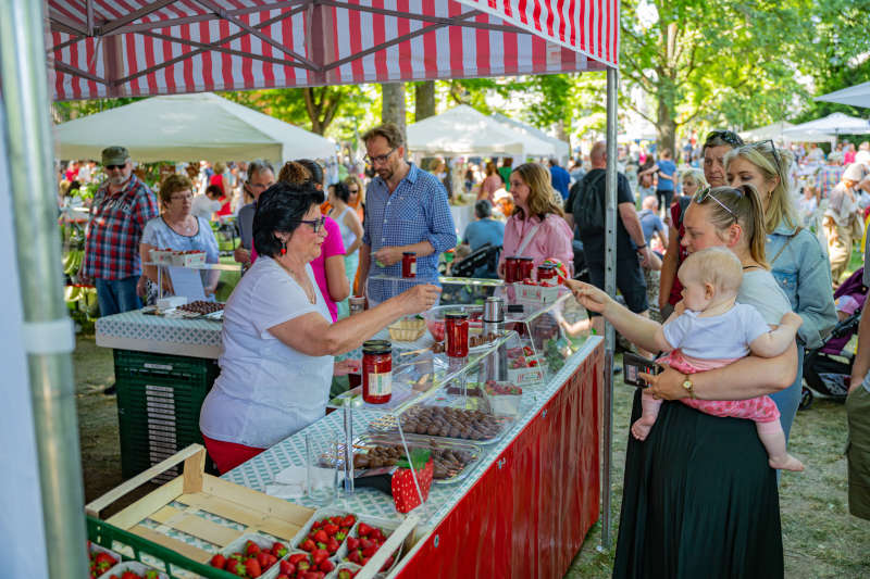 Erdbeermarkt in Herxheim (Quelle: CC-BY Pfalz.Touristik e.V., Heimatlichter GmbH)