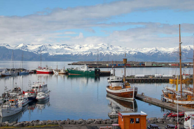 Symbolbild Island (Foto: Pixabay/Christian Klein)