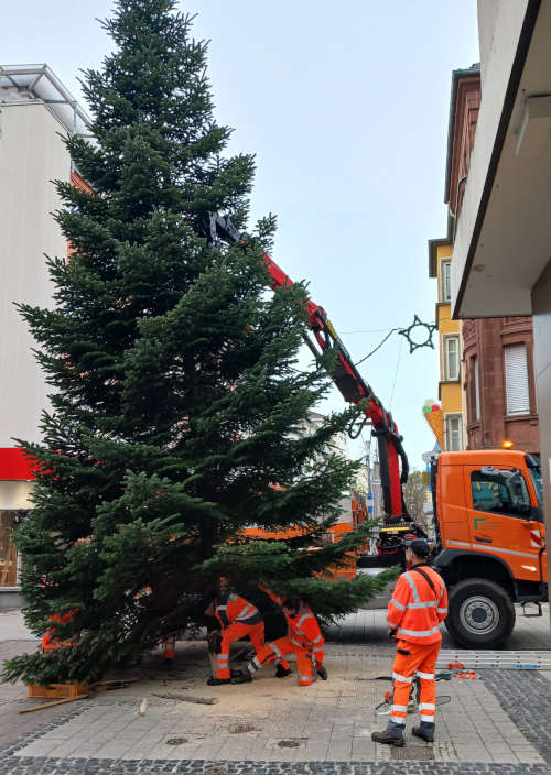 Foto: Stadtbildpflege Kaiserslautern