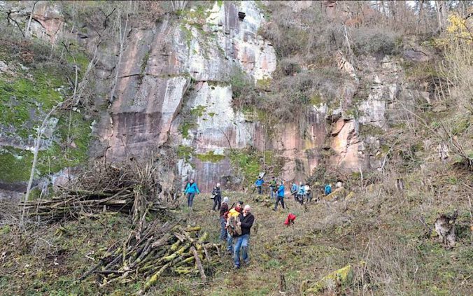 Gemeinsame Aktion von NABU, Agilent Technologies und der städtischen Umweltabteilung im Heidenbrunnertal. (Foto: Stadt Neustadt)